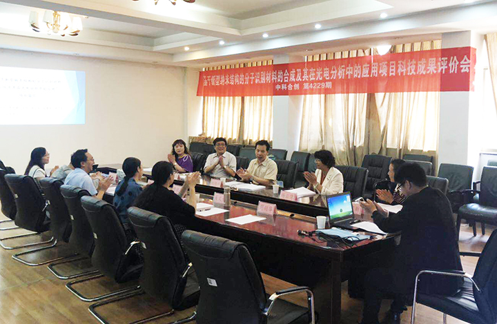 基于新型纳米结构的分子识别材料的合成及其在光电分析中的应用 anli.jpg